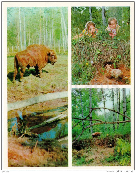 bison - raccoon - children - Nature Encounter - 1973 - Russia USSR - unused - JH Postcards