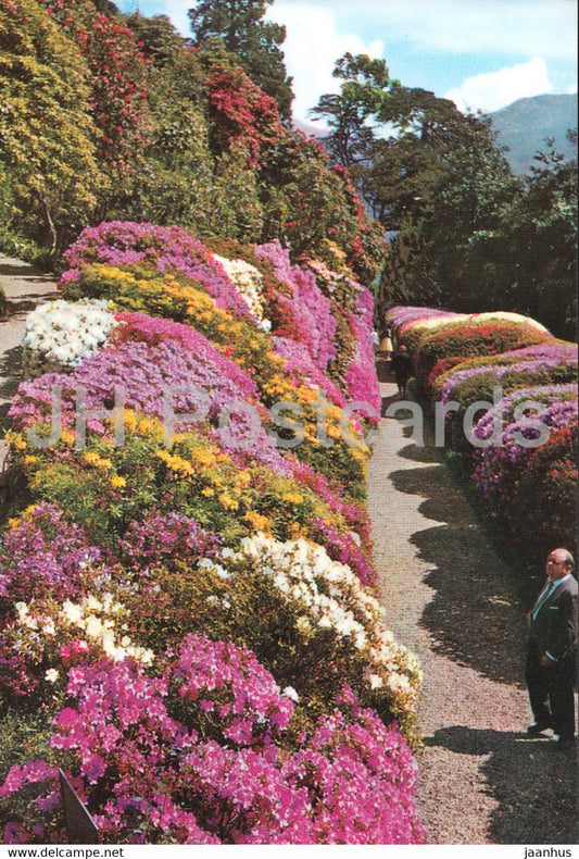 Lago di Como - Villa Carlotta - Viale delle azalee - Azaleas - flowers - Italy - Italia - unused - JH Postcards