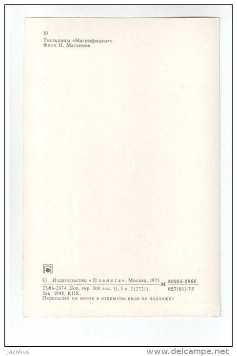 Magnificent - Tulips - flowers - 1975 - Russia USSR - unused - JH Postcards
