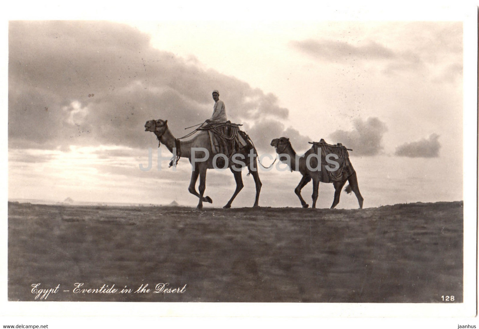 Eventide in the Desert - camel - 128 - old postcard - Egypt - used - JH Postcards