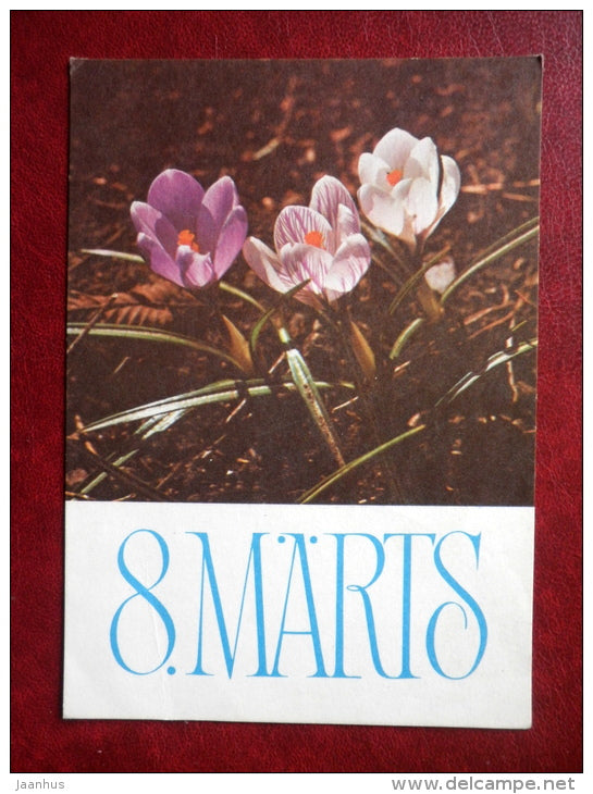 8 March Greeting Card - crocus - flowers - 1978 - Estonia USSR - used - JH Postcards