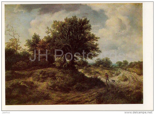 painting by Jacob van Ruisdael - Landscape with a Man - Dutch art - 1983 - Russia USSR - unused - JH Postcards