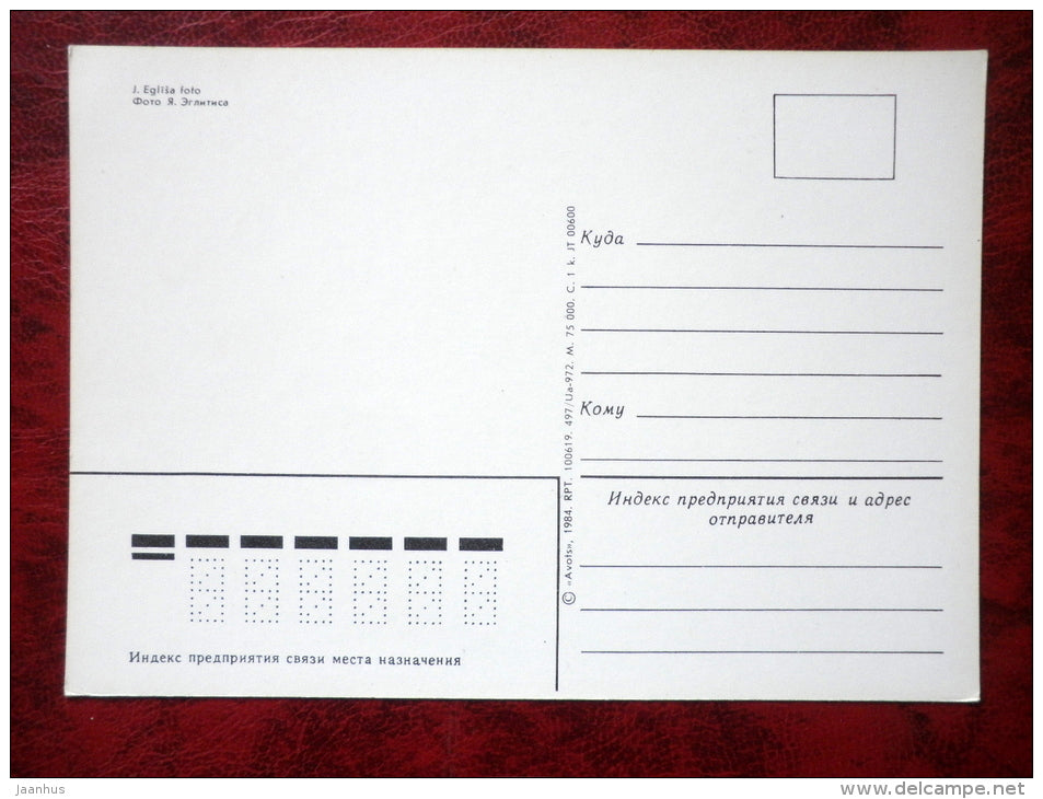 Sauleskalns - horses - boats - 1984 - Latvia - USSR - unused - JH Postcards