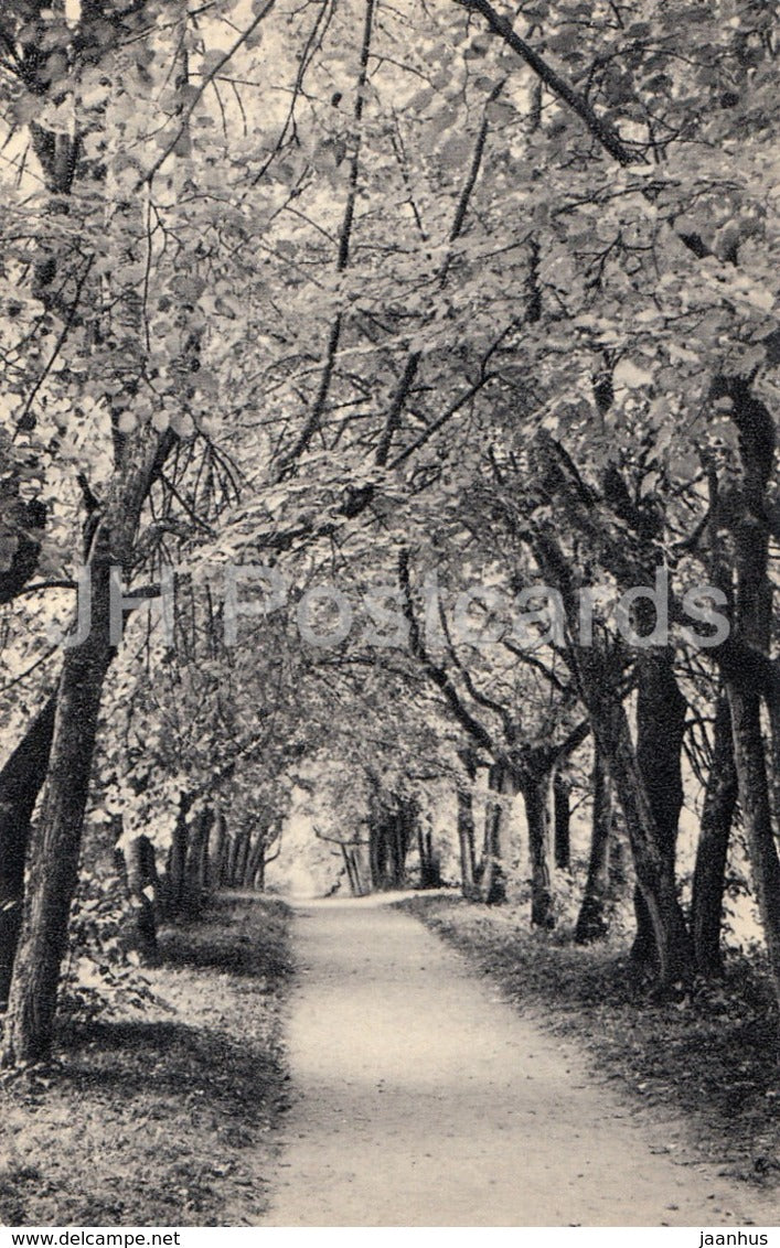 Petrovskoye - Alley of the Dwarf Linden-Trees - Pushkin Nature Reserve - 1968 - Russia USSR - unused - JH Postcards