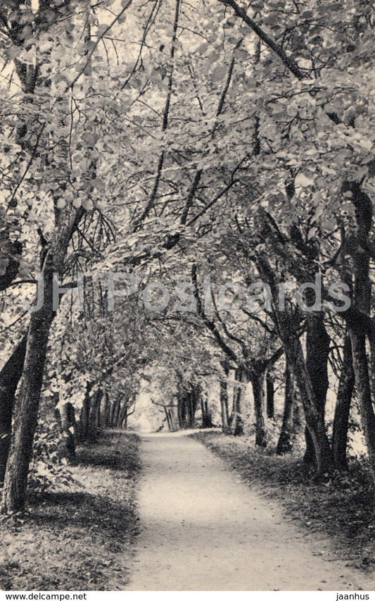 Petrovskoye - Alley of the Dwarf Linden-Trees - Pushkin Nature Reserve - 1968 - Russia USSR - unused - JH Postcards