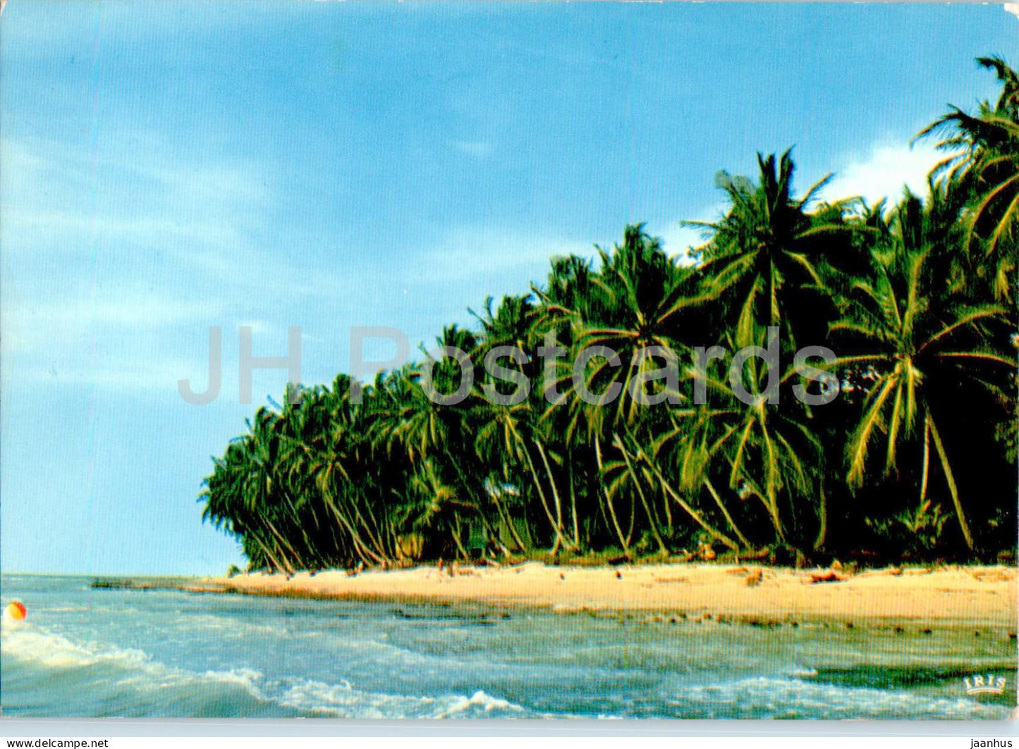 Africa in Pictures - Coco Nuts Beach - 1981 - Africa - used - JH Postcards