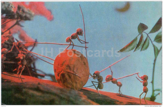 For the Home - ants - Magic of the Woods - wooden figures - 1971 - Russia USSR - unused - JH Postcards