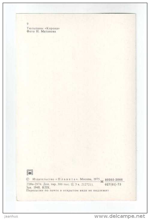 Corona - Tulips - flowers - 1975 - Russia USSR - unused - JH Postcards