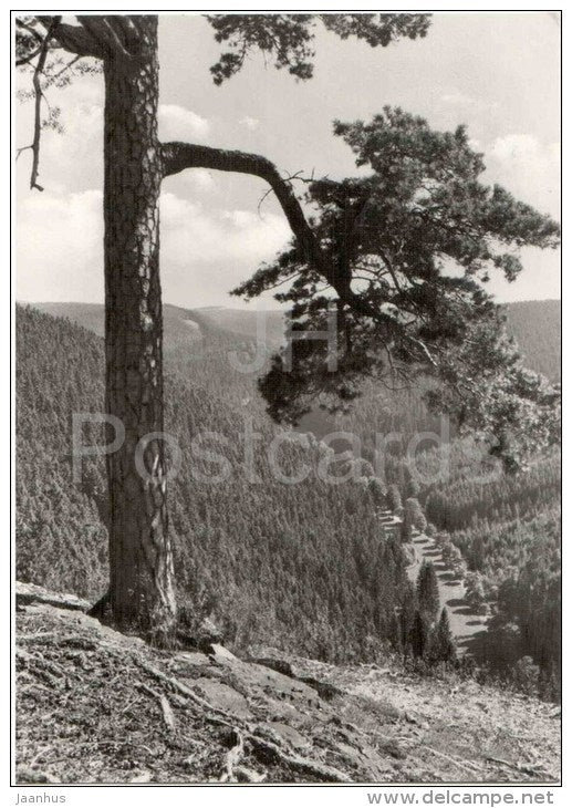 Tambach-Dietharz - Blick vom Nadelöhr - 795 - Germany - 1977 gelaufen - JH Postcards