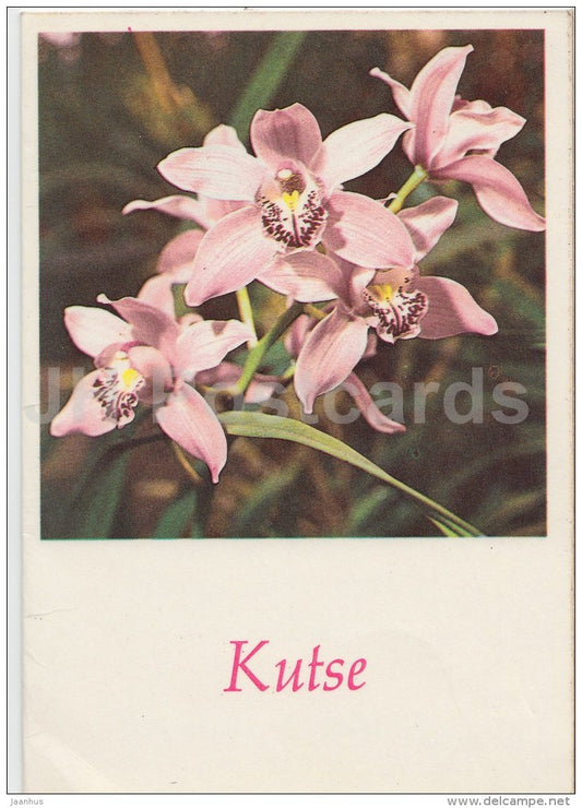 Inviting Card - flowers - orchid - 1985 - Estonia USSR - used - JH Postcards