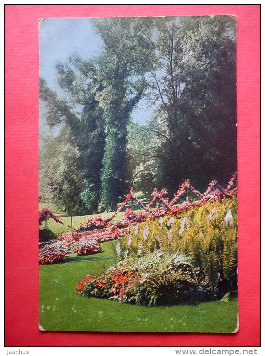 photograph - flowers - garden - NZG - Photochromie - serie 105 - circulated in Estonia 1919 - JH Postcards