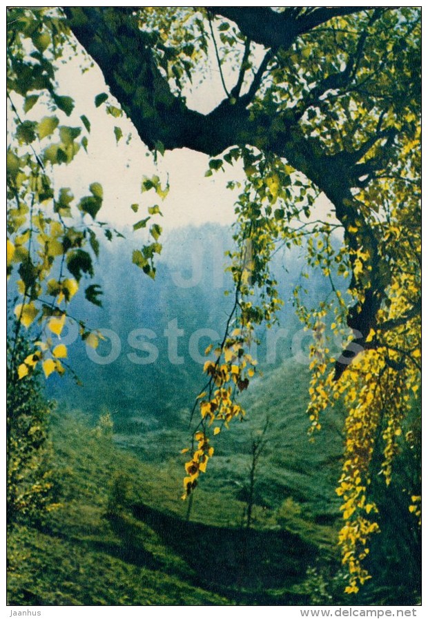 Krasnoyarsk Taiga - 1964 - Russia USSR - unused - JH Postcards