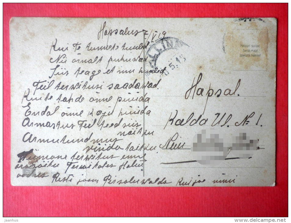 photograph - flowers - garden - NZG - Photochromie - serie 105 - circulated in Estonia 1919 - JH Postcards