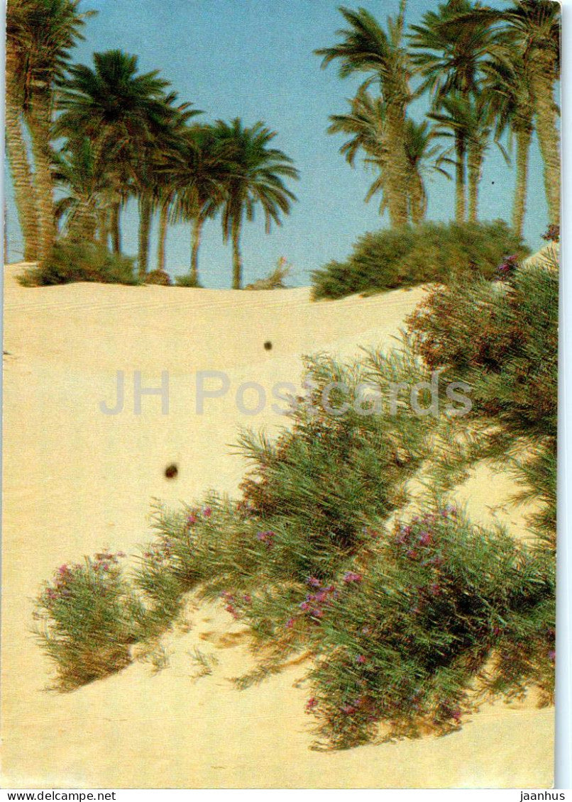 Sud Tunisien - L'Oasis - oasis - South Tunisia - Tunisia - used - JH Postcards