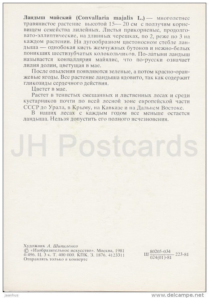Lily of the valley - Convallaria majalis - Plants under protection - 1981 - Russia USSR - unused - JH Postcards