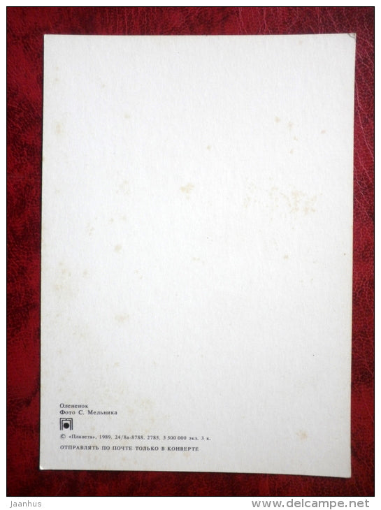 Fawn - animals - 1989 - Russia - USSR - used - JH Postcards