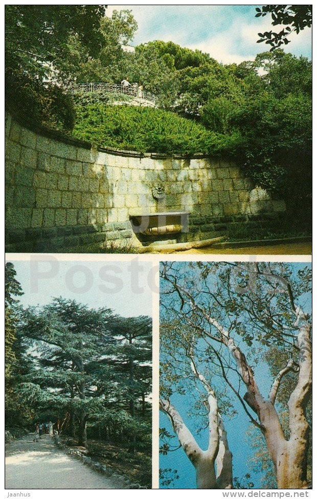 Grove of Lebanese cedars - Nikitsky Botanical Garden - Crimea - 1989 - Ukraine USSR - unused - JH Postcards