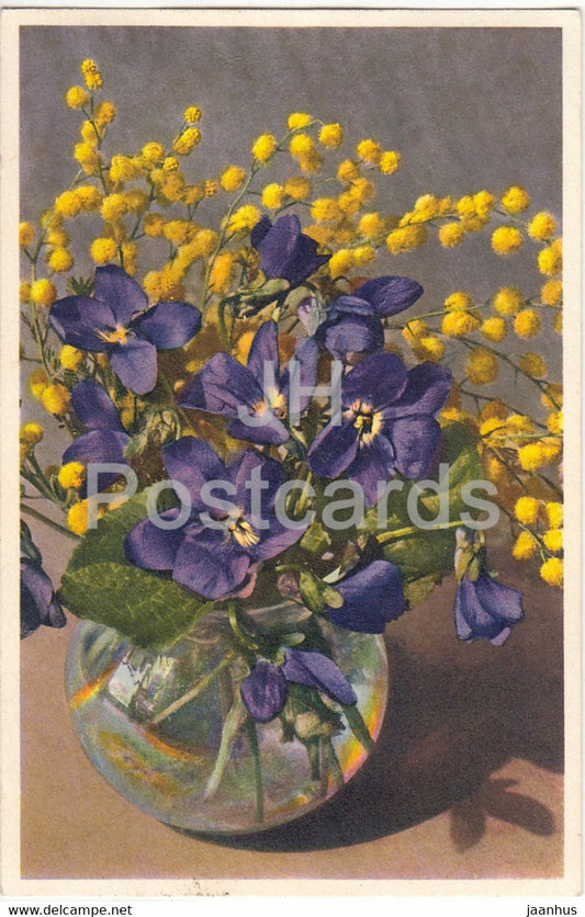 Acacia decurrens - Silber Acacie - Viola odorata - flowers - 1511 - old postcard - 1941 - Switzerland - used - JH Postcards