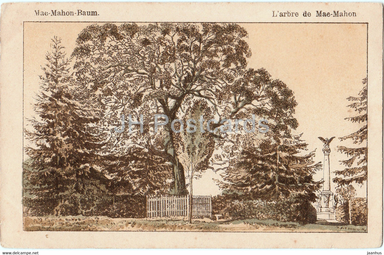 Mac Mahon Baum - L'arbre de Mac Mahon - illustration - old postcard - France - used - JH Postcards