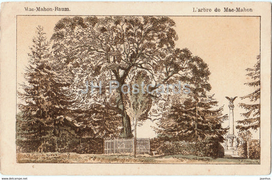 Mac Mahon Baum - L'arbre de Mac Mahon - illustration - old postcard - France - used - JH Postcards