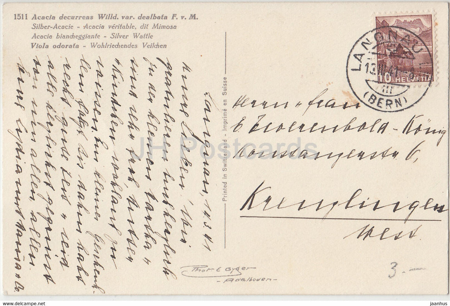 Acacia decurrens - Silber Acacie - Viola odorata - fleurs - 1511 - carte postale ancienne - 1941 - Suisse - utilisé