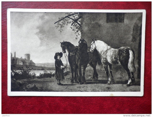 painting by A. Cuyp , Horses - dutch art - old postcard - used - JH Postcards