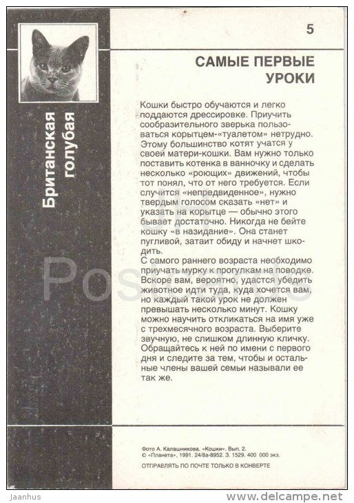 British Blue Cat - Shorthair - Cat - 1991 - Russia USSR - unused - JH Postcards