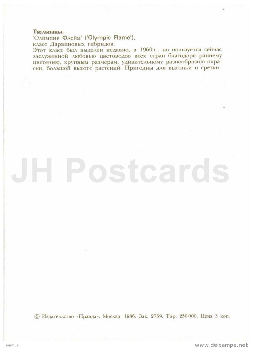 Olympic Flame - Tulip - 1986 - Russia USSR - unused - JH Postcards
