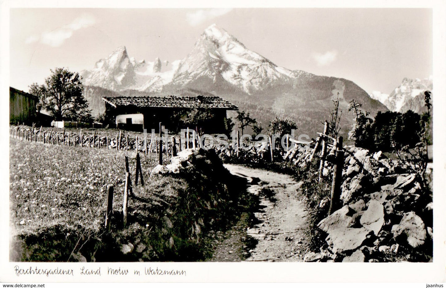 Berchtesgadener Land - Motiv m Watzmann - old postcard - 1951 - Germany - used - JH Postcards