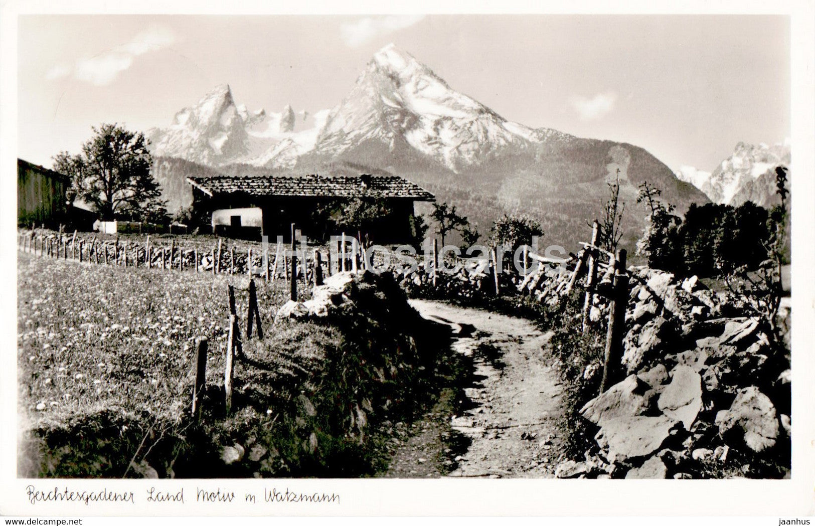 Berchtesgadener Land - Motiv m Watzmann - old postcard - 1951 - Germany - used - JH Postcards