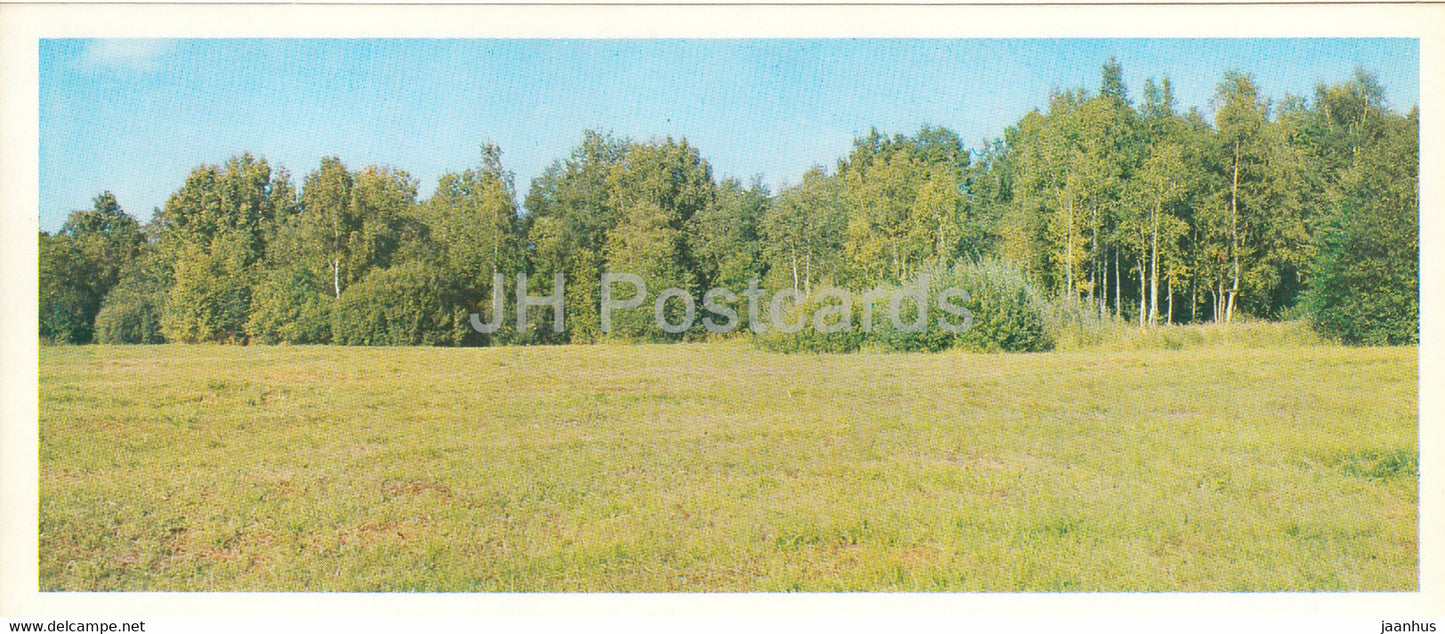 Razliv - Lenin Museum - meadow behind the lake Sestroretsky Lake - 1977 - Russia USSR - unused - JH Postcards