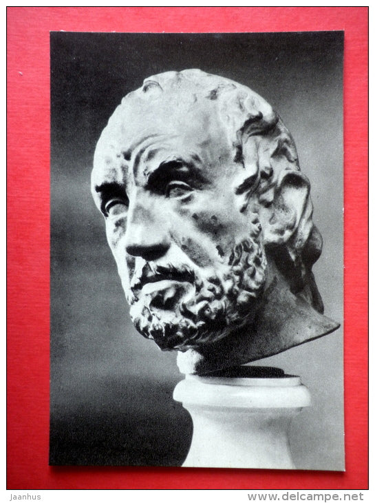 A Man With A Broken Nose , 1864 - sculpture by August Rodin - french art - unused - JH Postcards