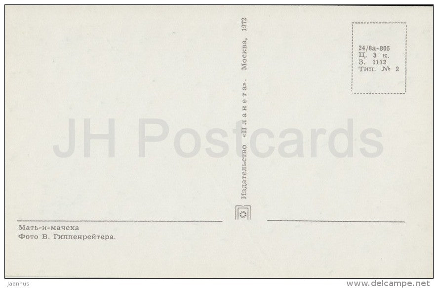 Coltsfoot - Tussilago farfara - flower - Flowers of Russia - 1972 - Russia USSR - unused - JH Postcards