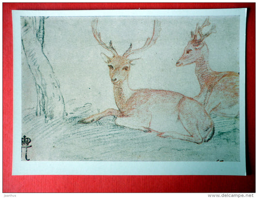 drawing by Federico Zuccari - Deer Studies - italian art - unused - JH Postcards