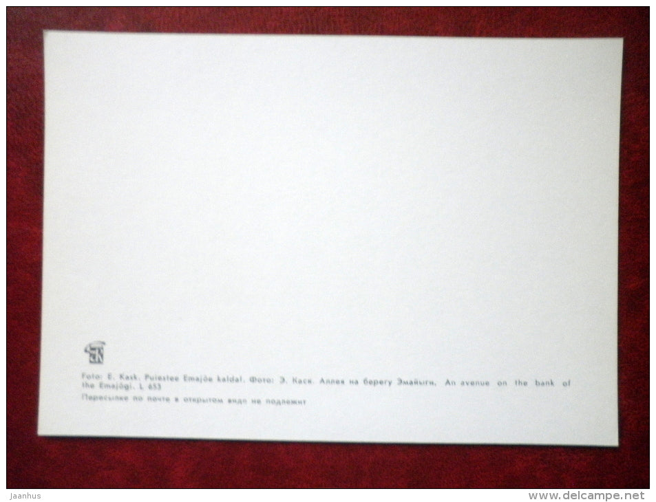 An Avenue on the bank of river Emajõgi - Tartu - 1978 - Estonia USSR - unused - JH Postcards