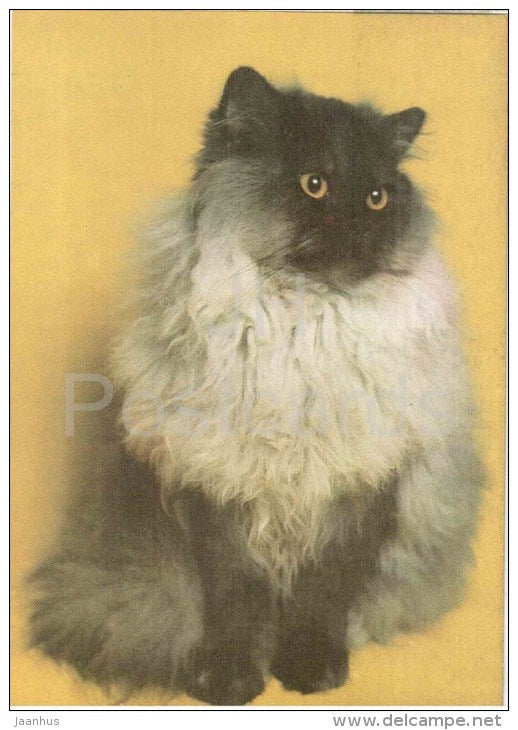 Persian Blue Smoke Cat - Cat - 1991 - Russia USSR - unused - JH Postcards