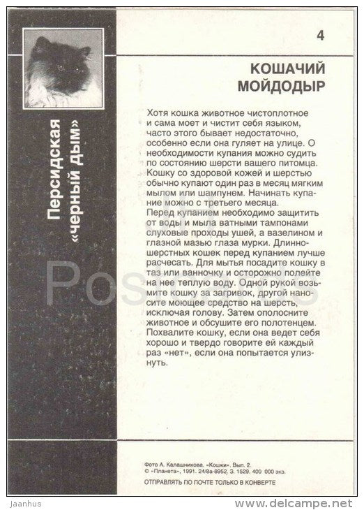 Persian Blue Smoke Cat - Cat - 1991 - Russia USSR - unused - JH Postcards