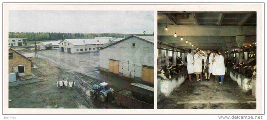 Modern breeding complex - tractor - cow - Karelia - Karjala - 1985 - Russia USSR - unused - JH Postcards