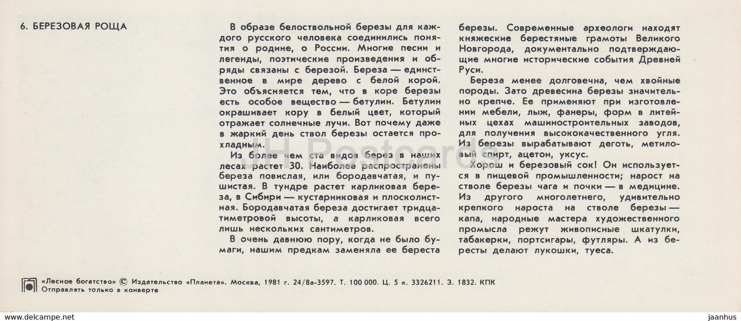 Birch Grove - Forest Wealth - 1981 - Russia USSR - unused
