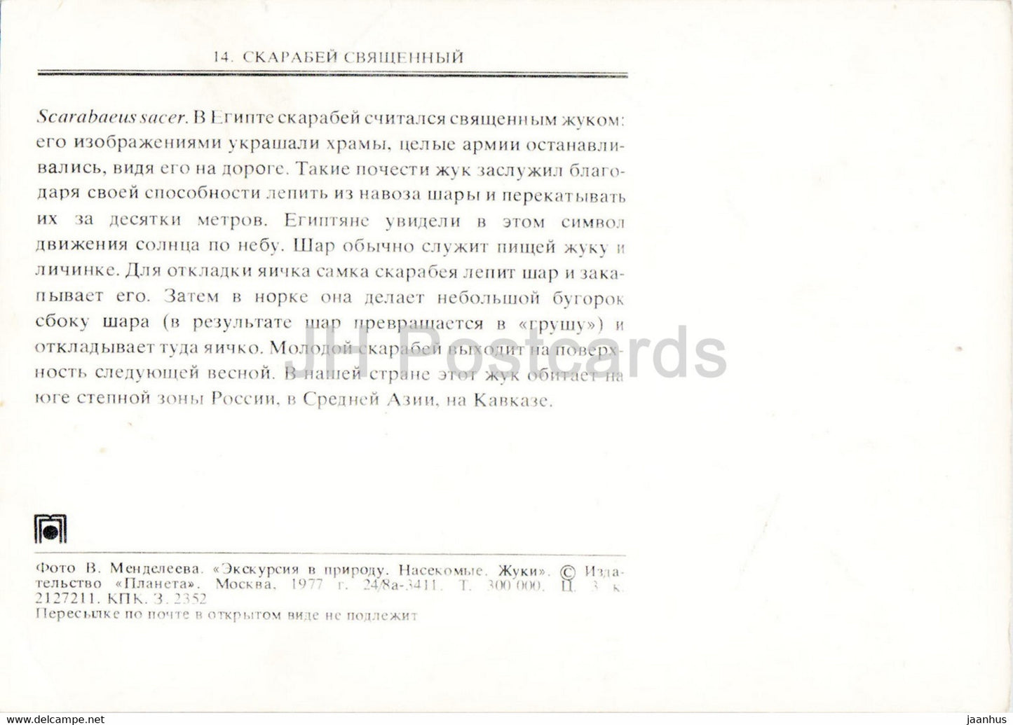 Heiliger Skarabäus - Scarabaeus sacer - Insekten - 1977 - Russland UdSSR - unbenutzt
