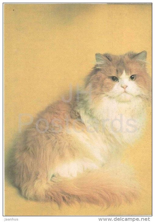 Persian Red White Cat - Cat - 1991 - Russia USSR - unused - JH Postcards