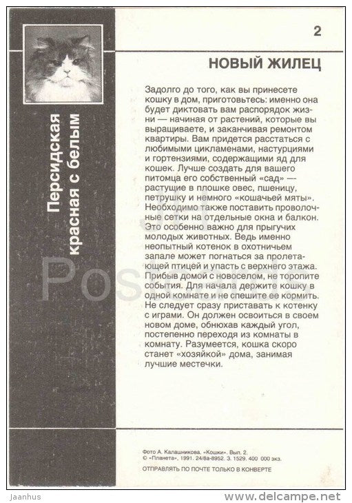 Persian Red White Cat - Cat - 1991 - Russia USSR - unused - JH Postcards