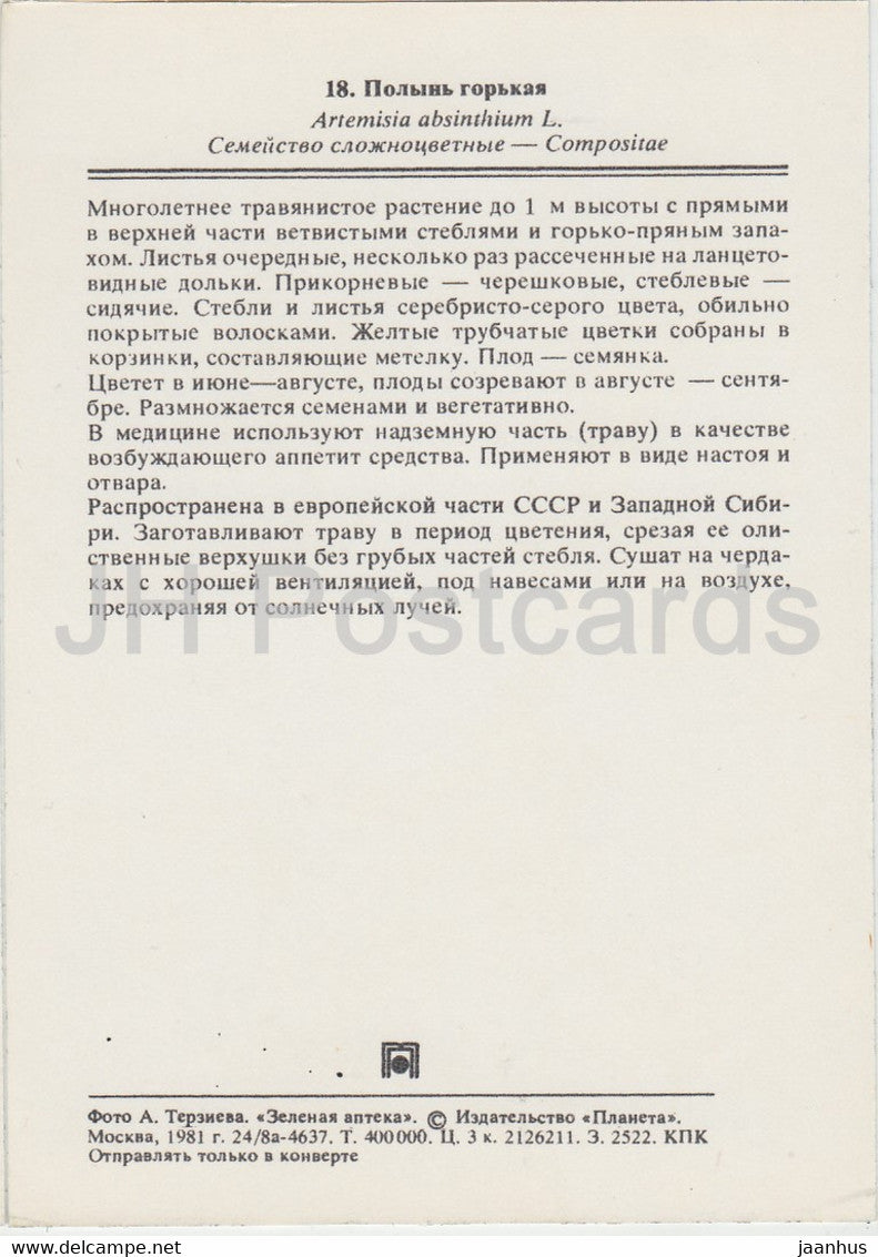 Common wormwood - Artemisia absinthium - Medicinal Plants - 1981 - Russia USSR - unused