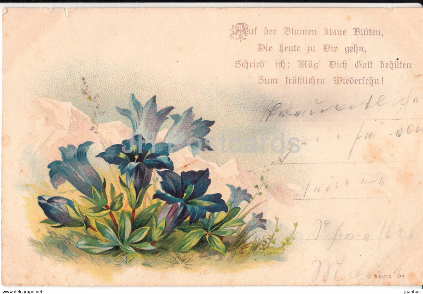 Greeting Card - Auf der Blumen blaue Bluten - Serie 34 - blue flowers - old postcard - 1900 - Germany - used - JH Postcards