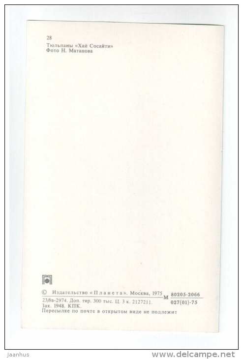 High Society- Tulips - flowers - 1975 - Russia USSR - unused - JH Postcards