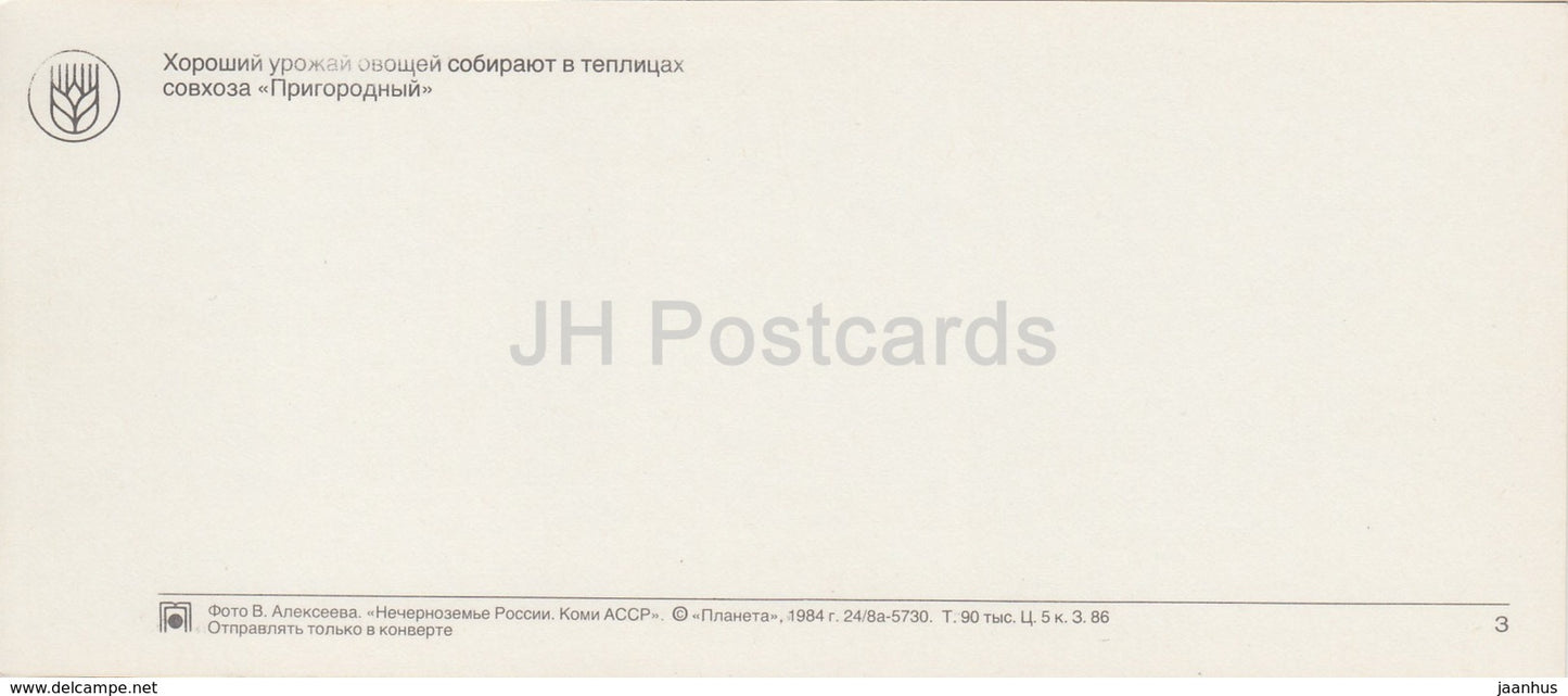 Sovkhoz Prigorodnyi Gewächshäuser – Tomate – Gurke – Republik Komi – 1984 – Russland UdSSR – unbenutzt