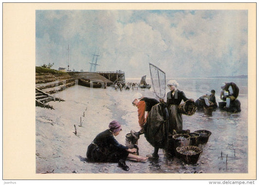 painting by Pierre Bayle - Gathering Oysters - French art - 1977 - Russia USSR - unused - JH Postcards