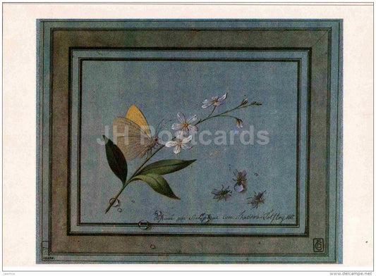 painting by F. Tolstoy - Flower , Butterfly and Flies , 1817 - Russian art - 1984 - Russia USSR - unused - JH Postcards