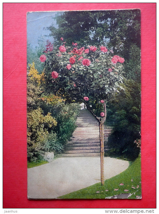 photograph - flowers - roses - Photochromie - circulated in Estonia 1920 - JH Postcards