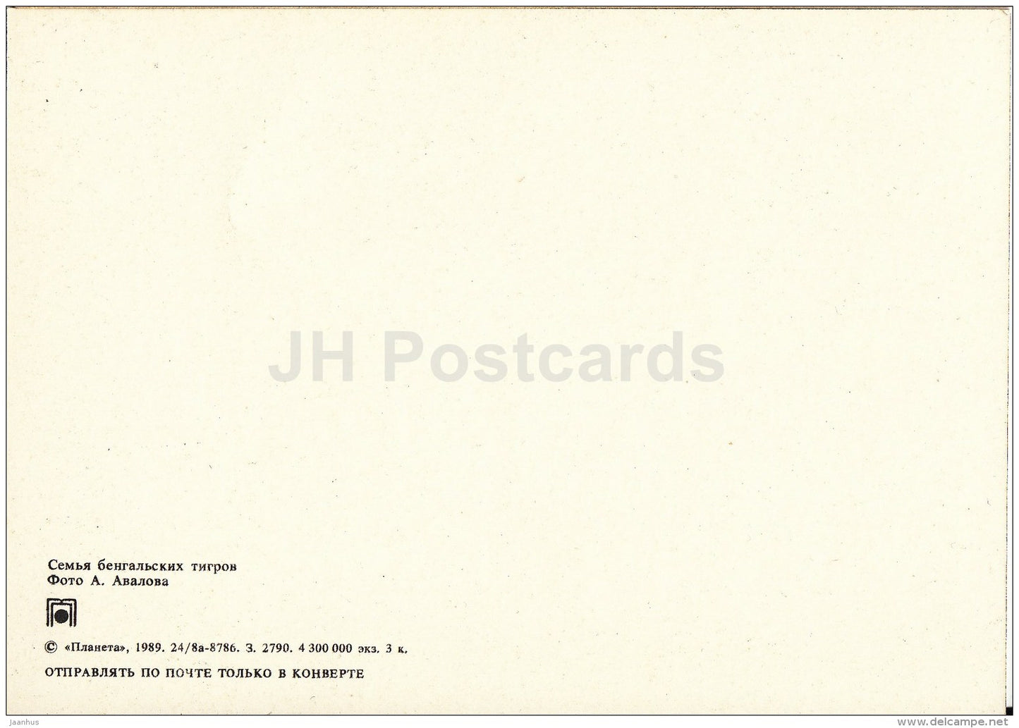 Bengal tiger family - Zoo - 1989 - Russia USSR - unused - JH Postcards